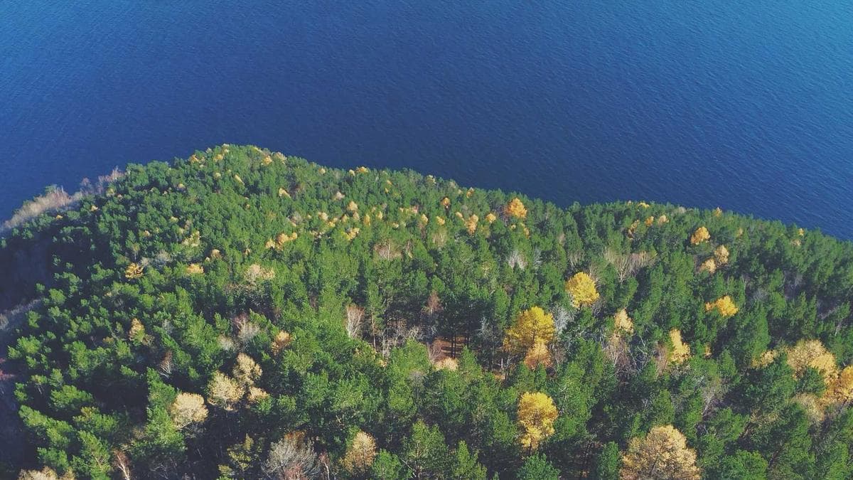AICores Landing в городе Ростов-на-Дону
