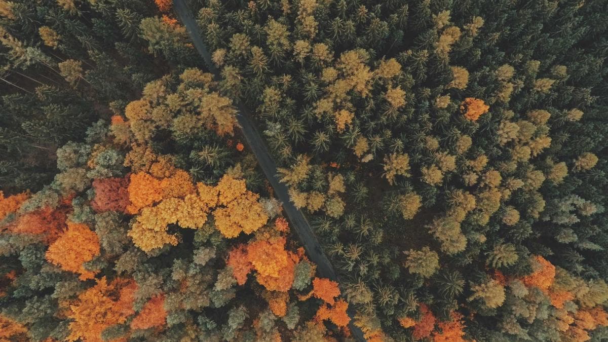 Экономика внедрения для AICores Landing